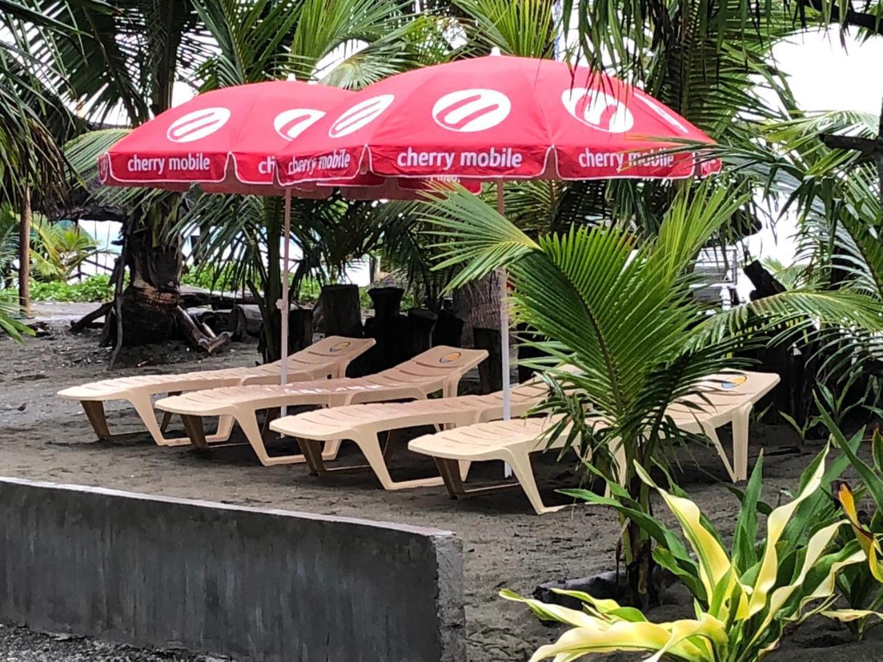 North Shore Surf Camp Hotel Baler Luaran gambar